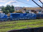 RUMO 9598